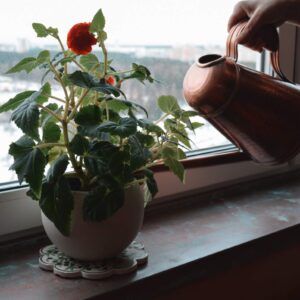 Медная лейка 3 литра